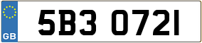 Trailer License Plate
